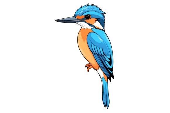 Download Kingfisher Bird Illustration Png - Bird illustration png Collection