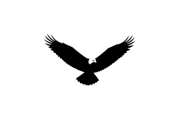 Download Majestic Eagle Soaring with Outstretched - Premium Resources
